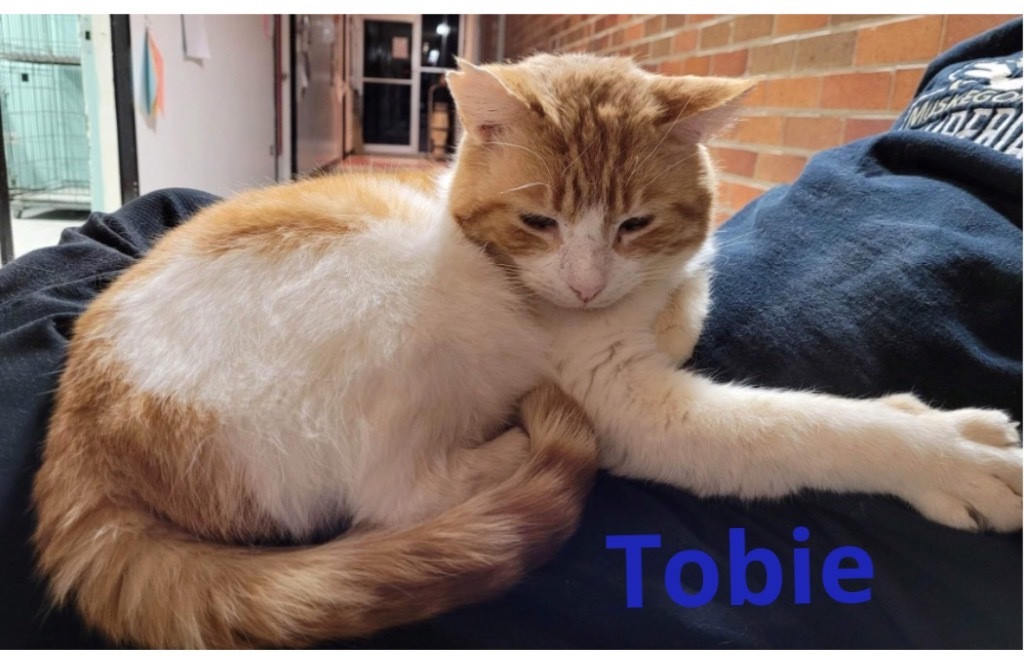 TOBIE