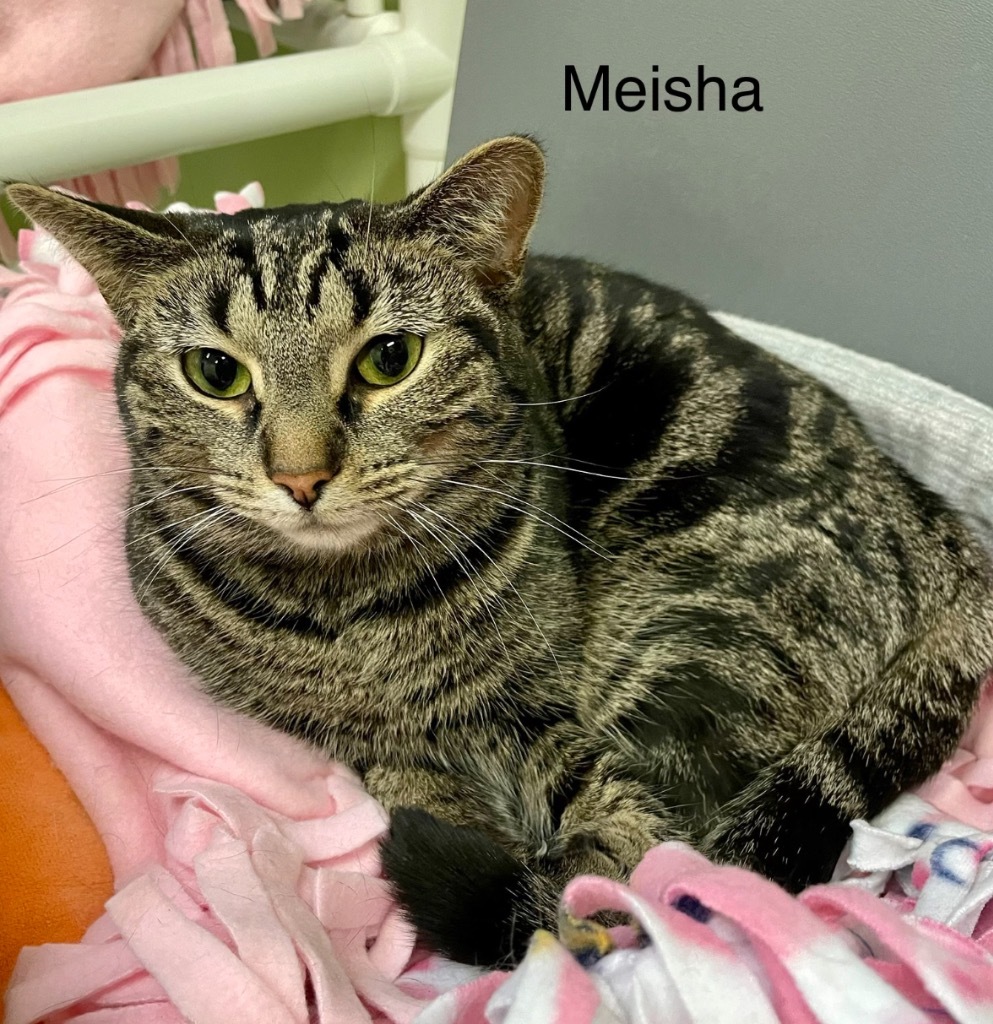 MEISHA
