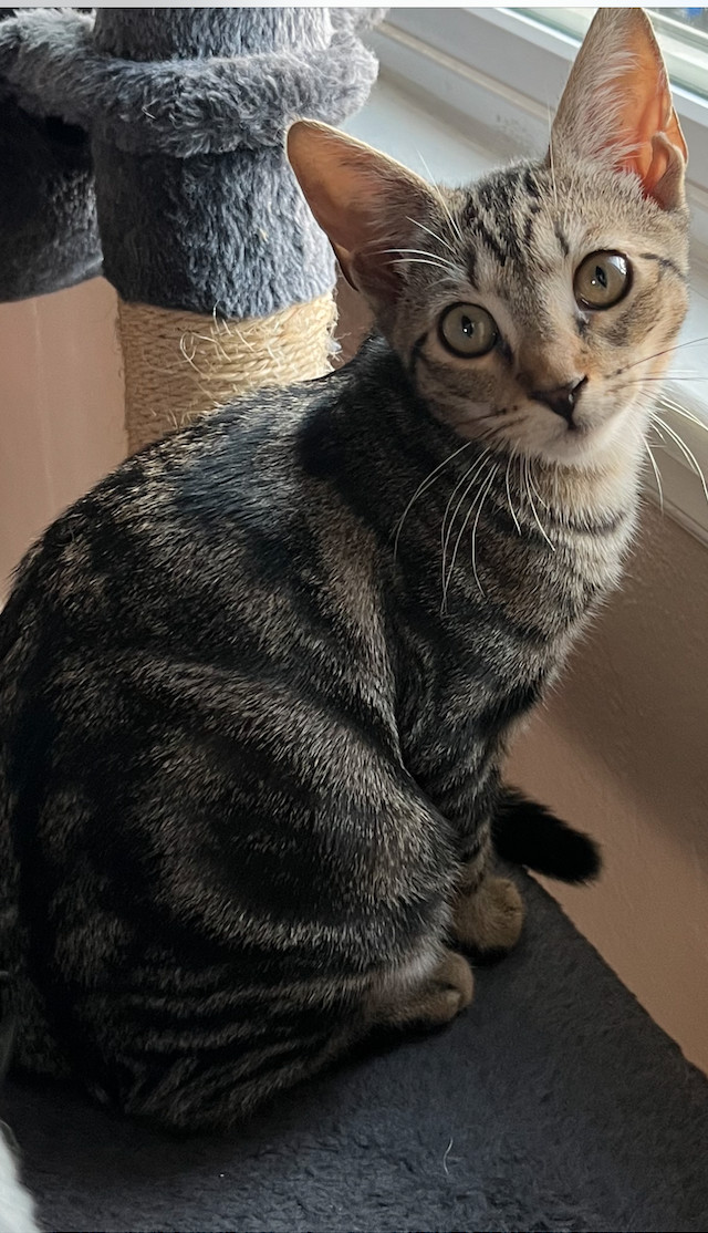 Minnie (Mollie sister)