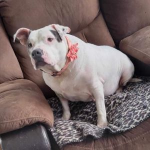 Tinkerbell, Senior Female unknown