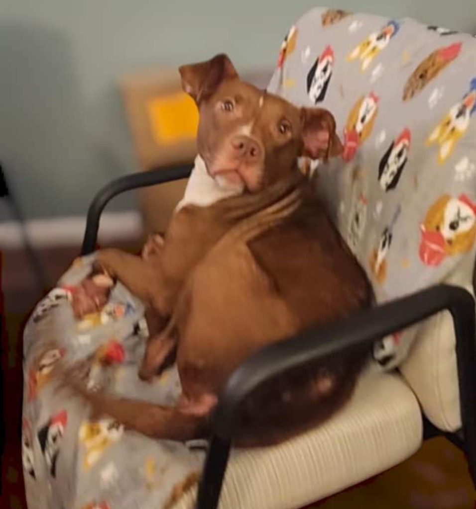 Mimmzie