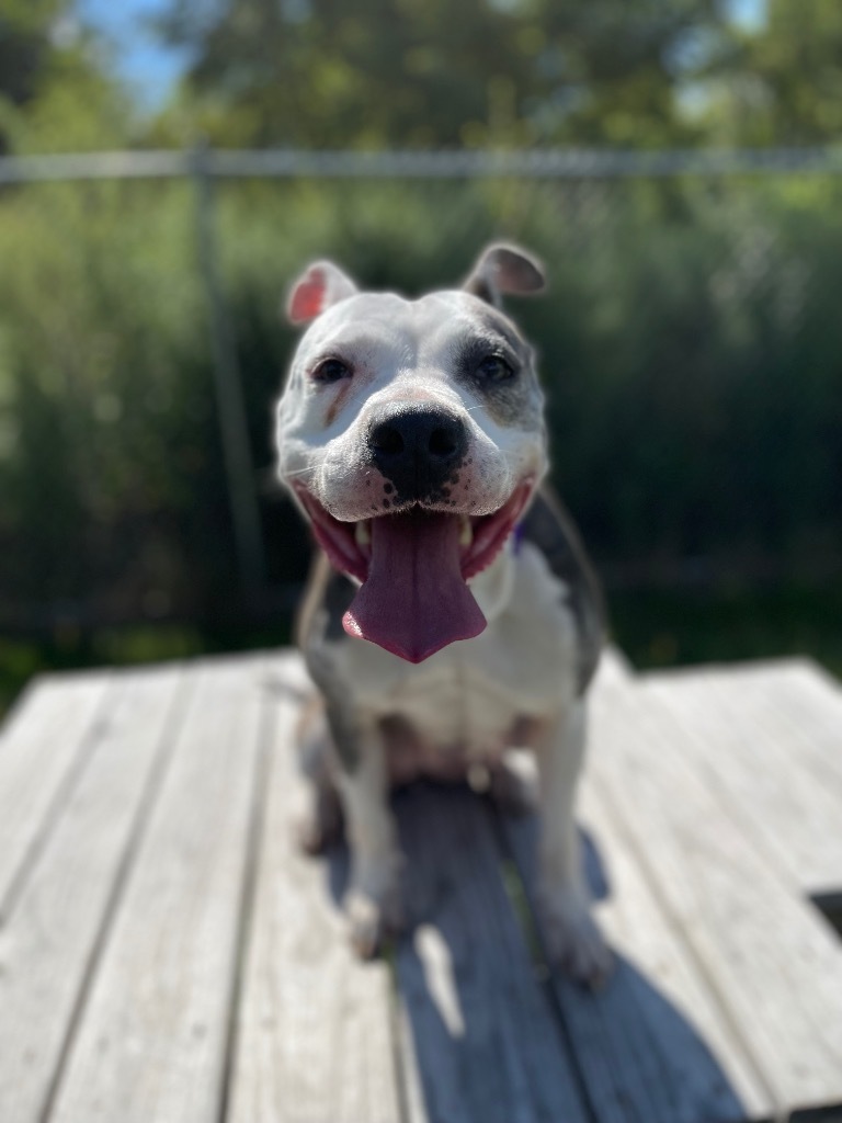Kali