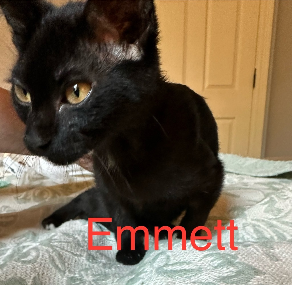 Emmett