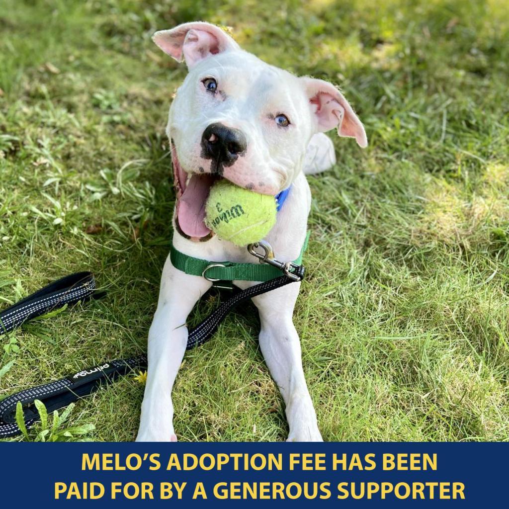 Melo