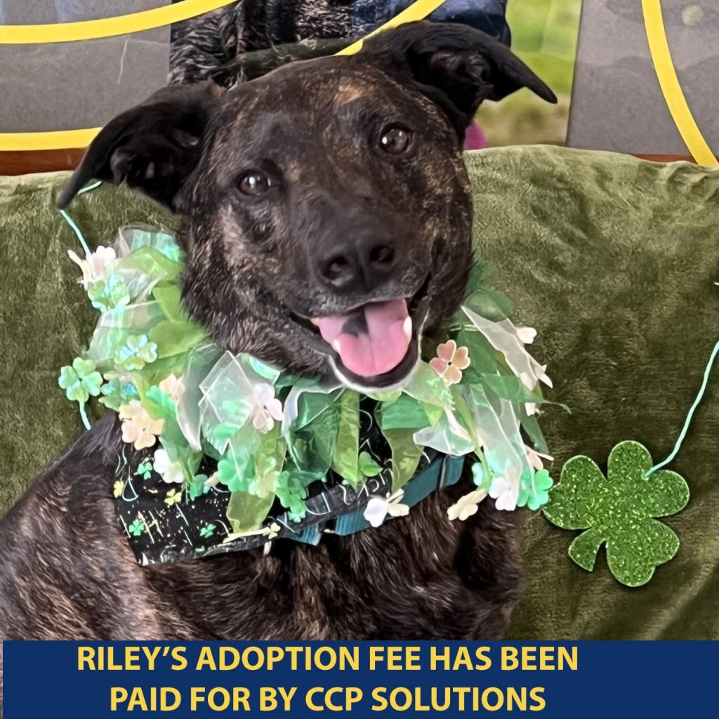 Riley