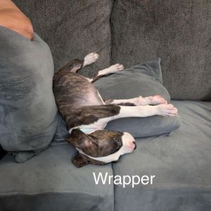 Wrapper