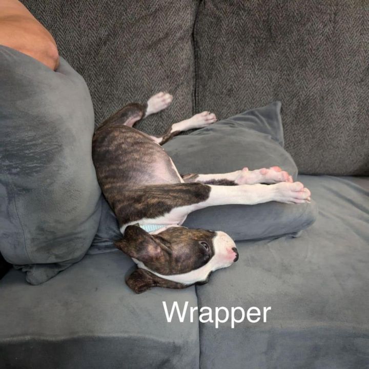 Wrapper 1