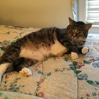 Sylvie 3