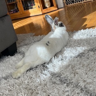 Salt (bonded with Pepper)