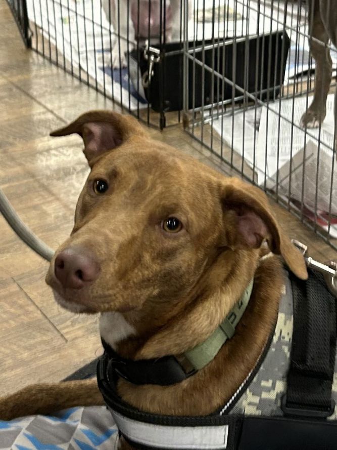 Pasco