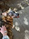 KOA photo 6