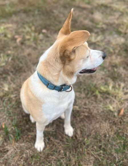 Carlos