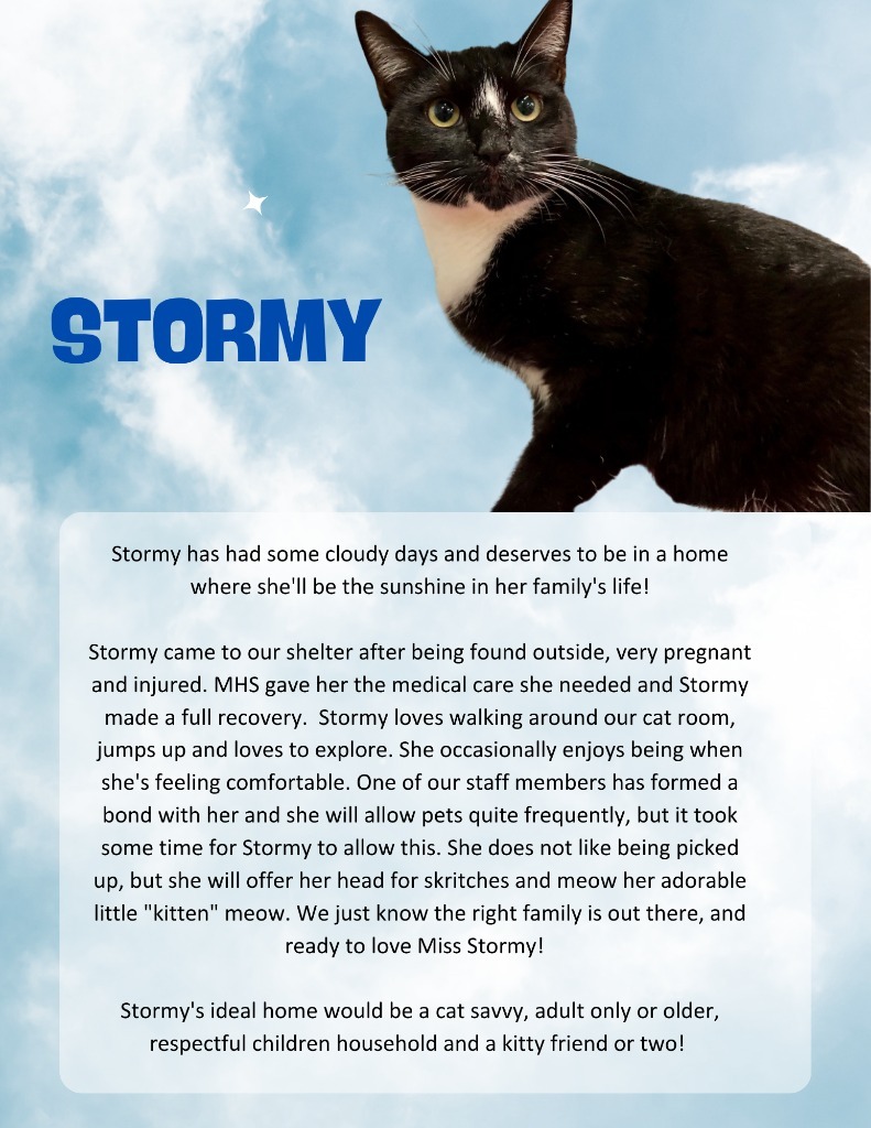 Stormy