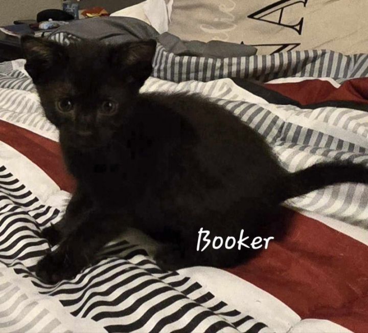 Booker 3