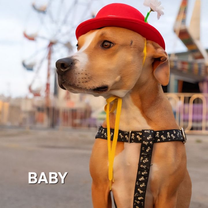 Baby 1