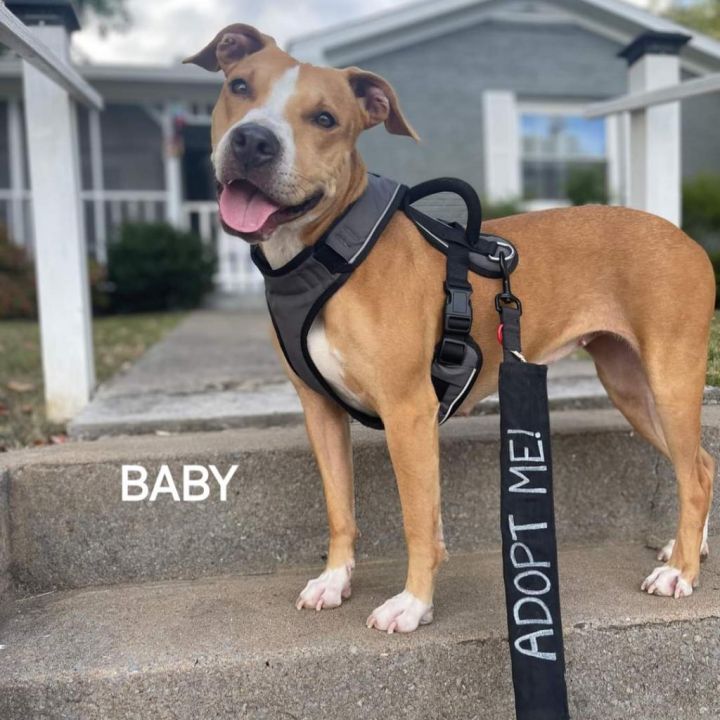 Baby 2