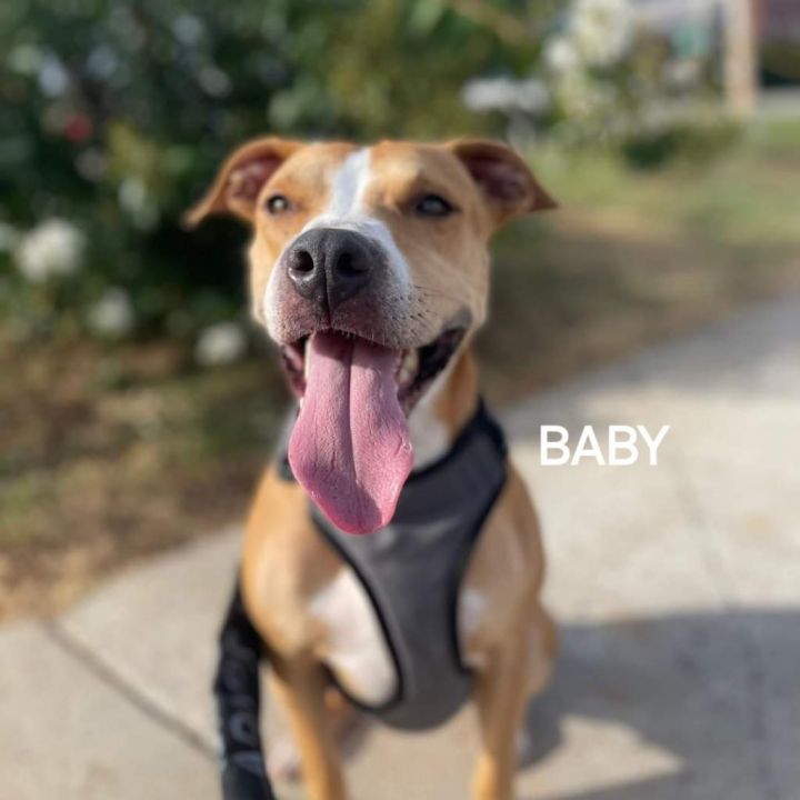 Baby 3