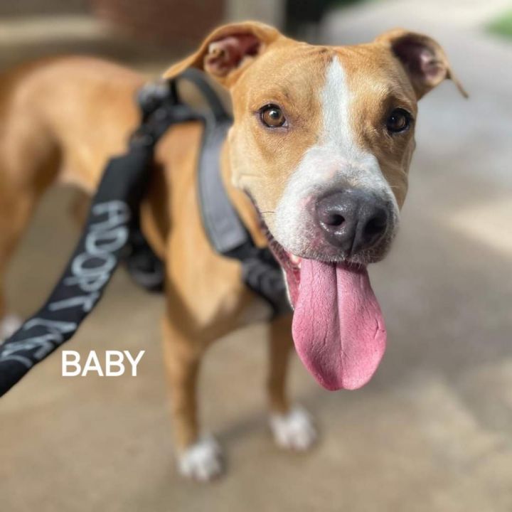 Baby 4
