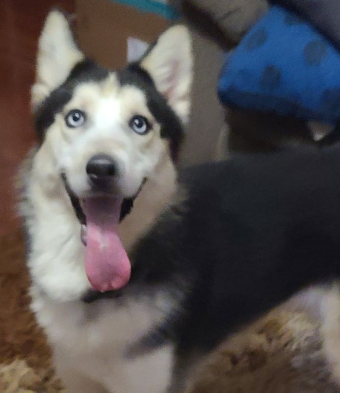 Alaska