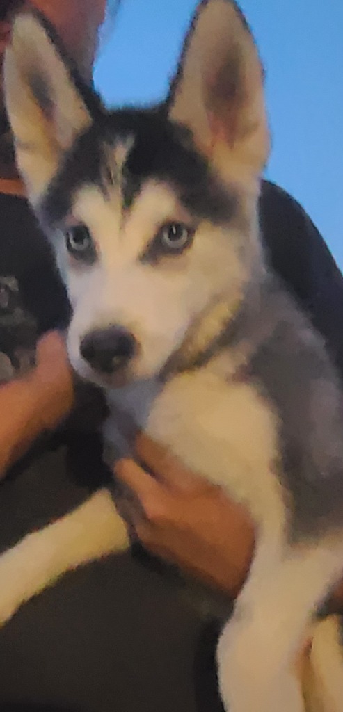 Alaska 3