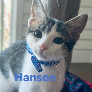 Hanson 5