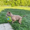 Baby Girl photo 5