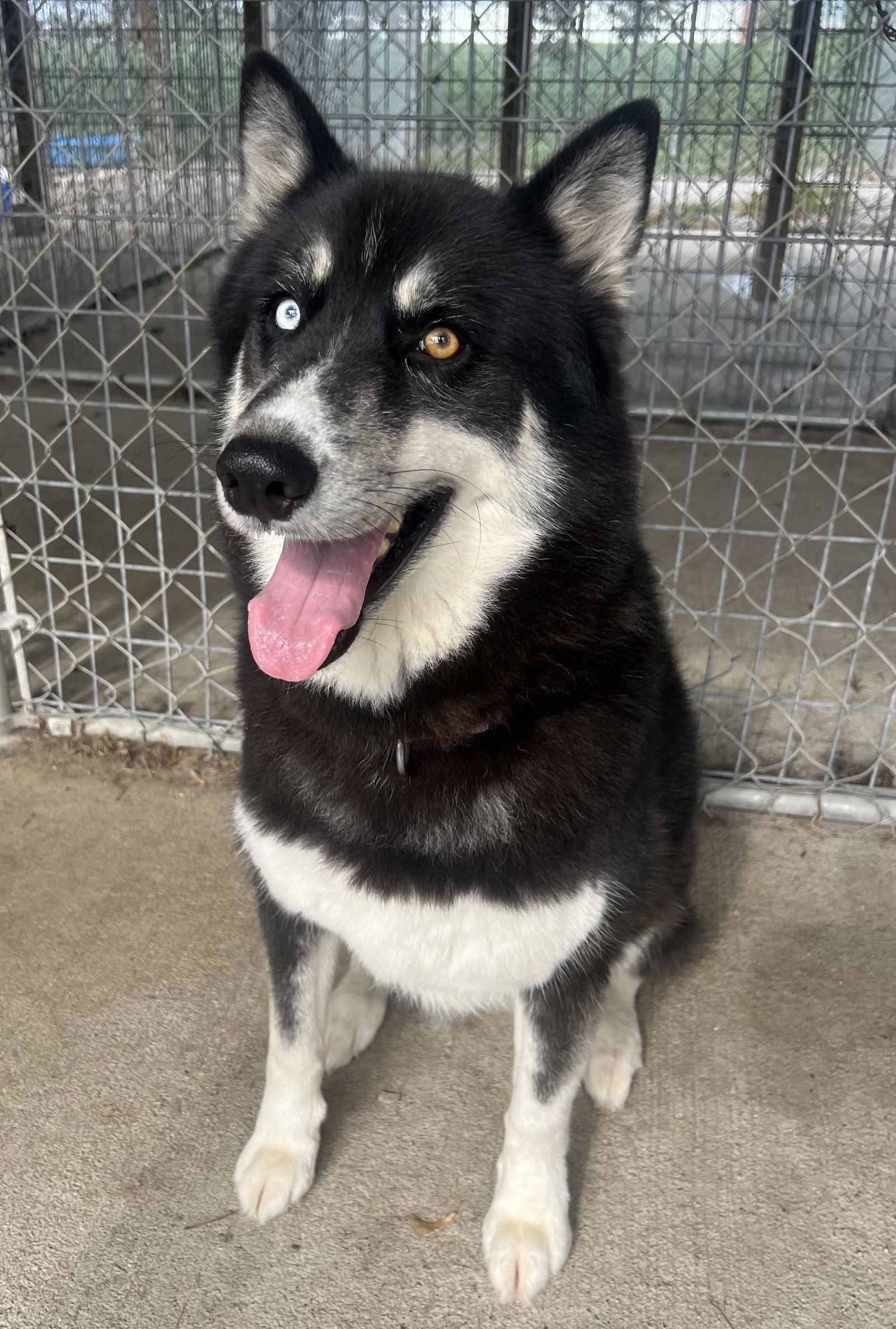 Aspen