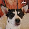 Lola JuM photo 2