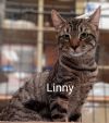 Linny photo 3