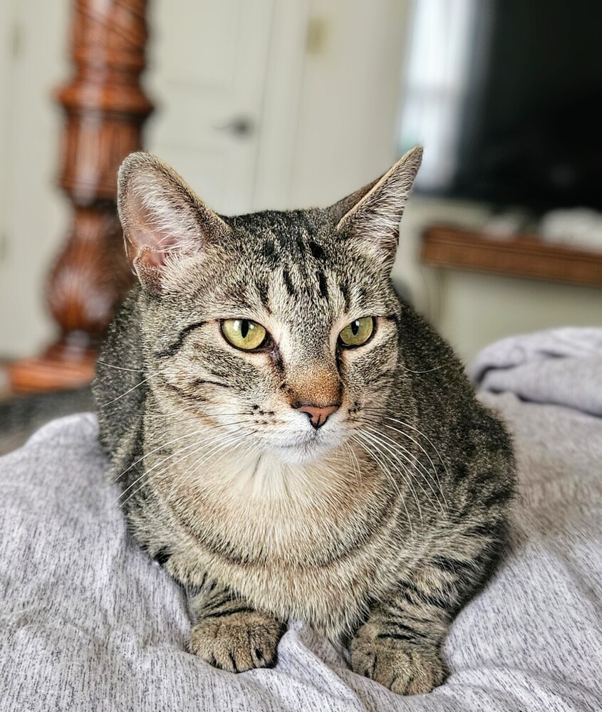 Momma Nala