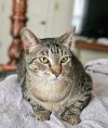 Momma Nala photo 1