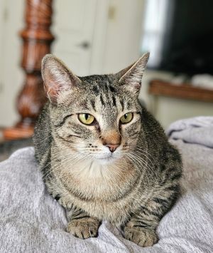 Momma Nala