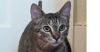 Momma Nala photo 4