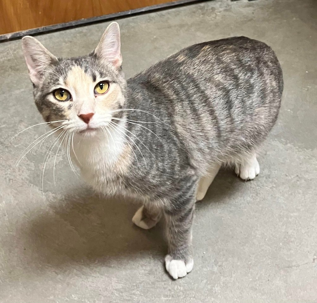 Fran