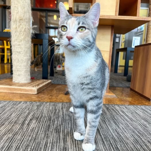Fran