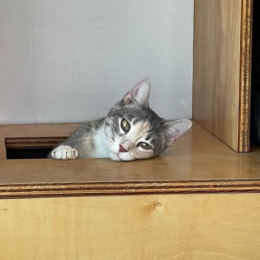 Fran