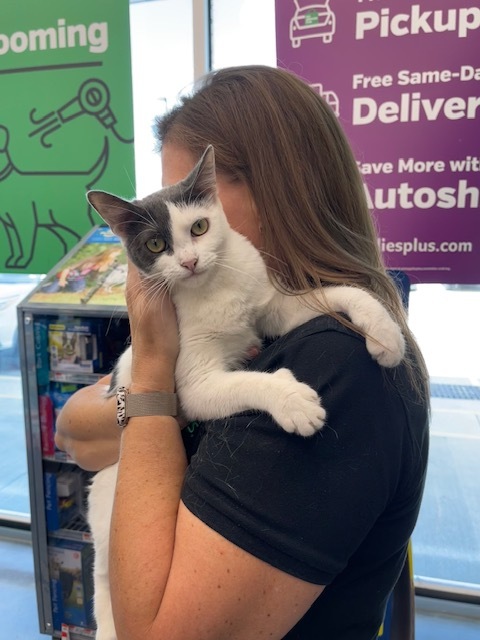 Sienna (Fee Waived)