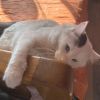 Jerry photo 2