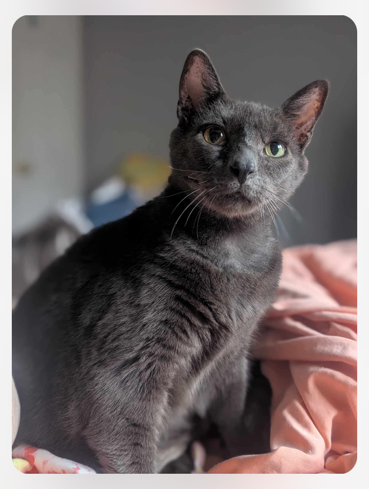 Charles
