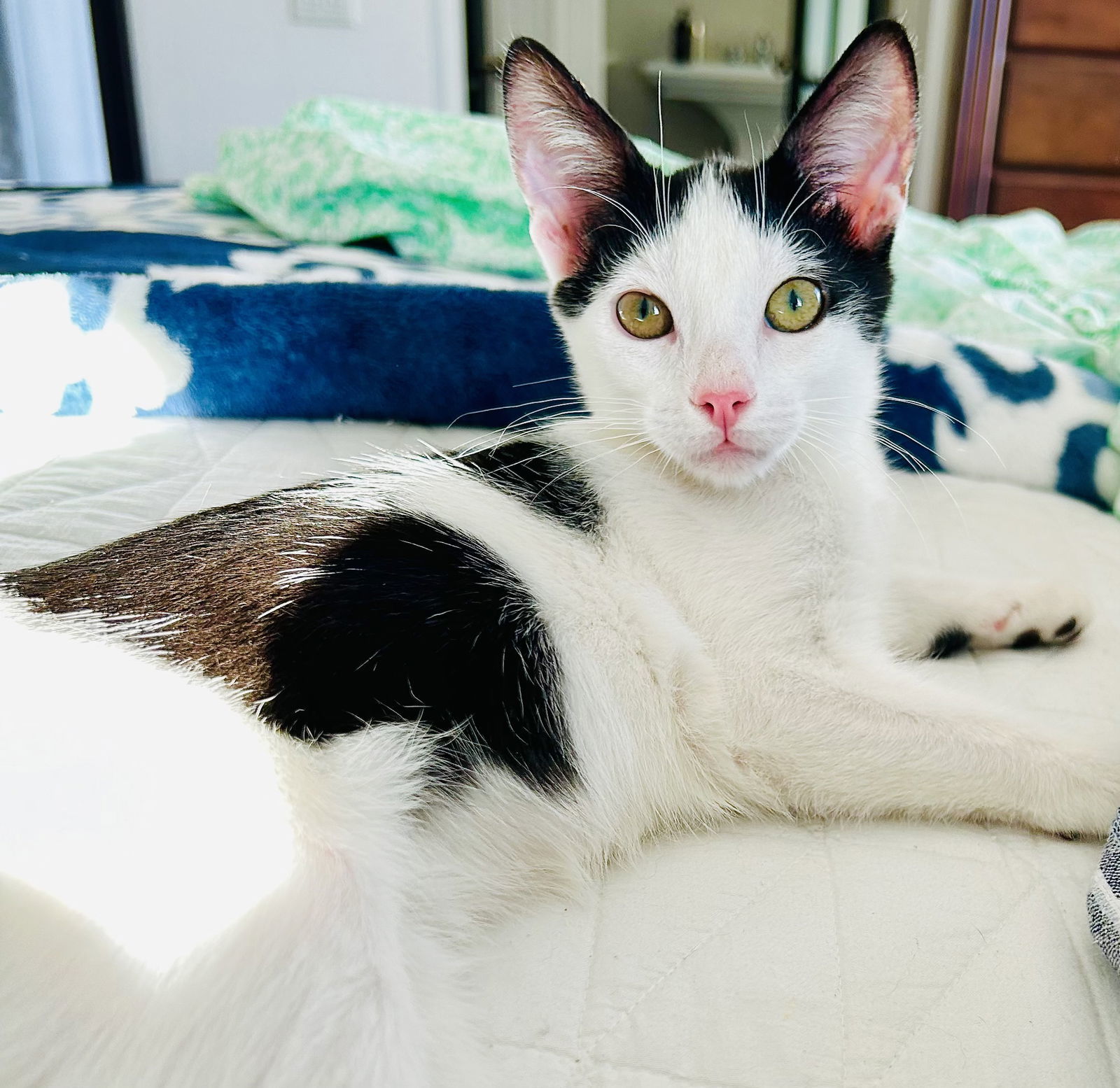 Petey