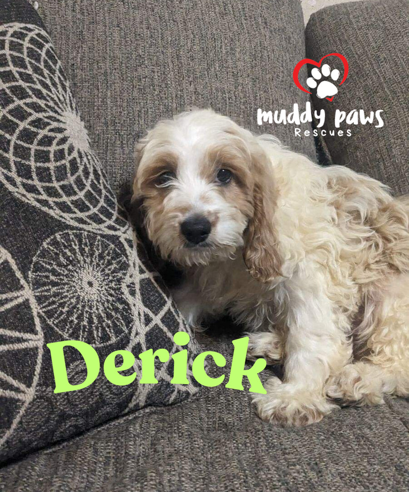 Derick - Dirty Dawg Litter