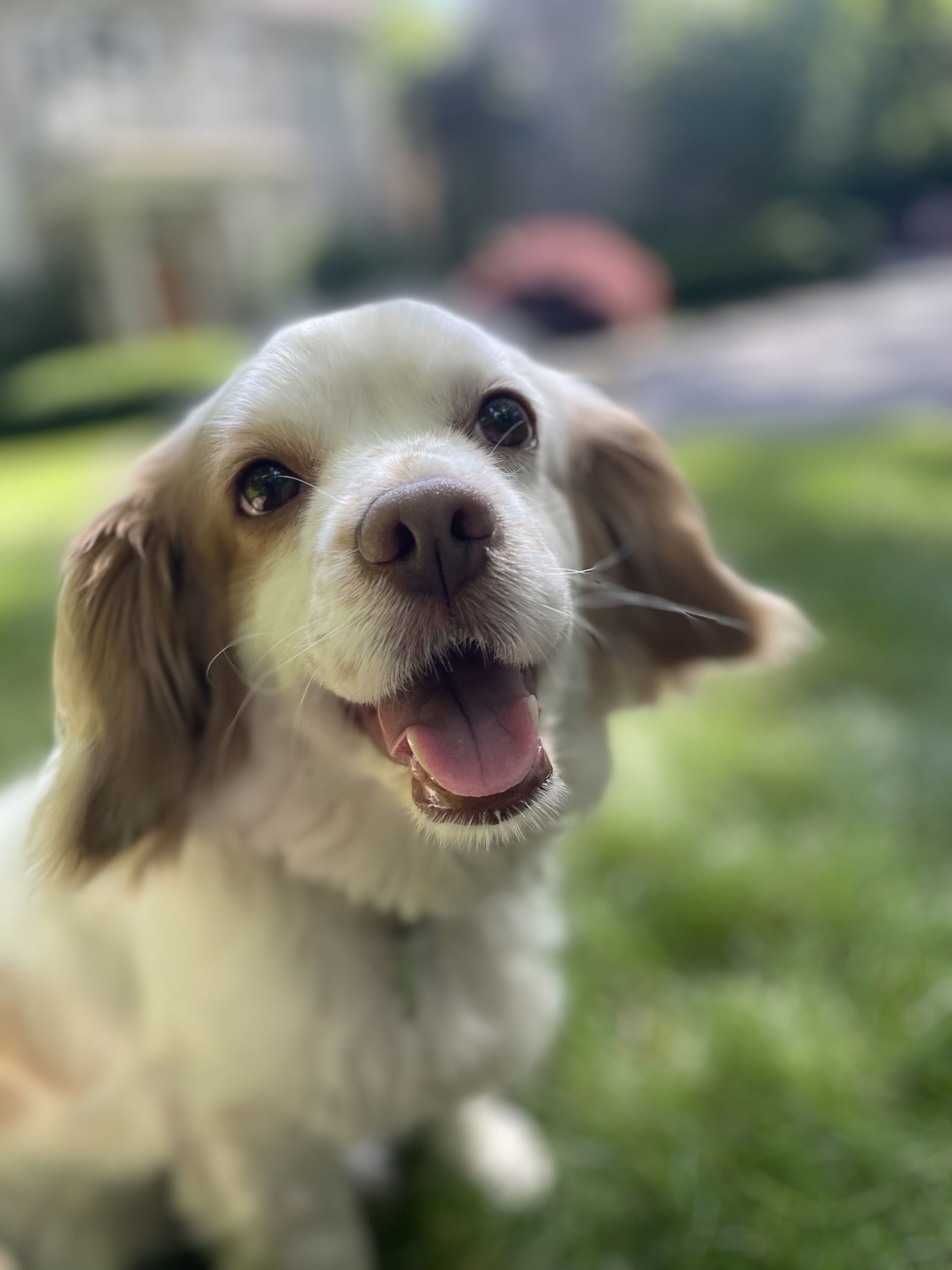 Chloe