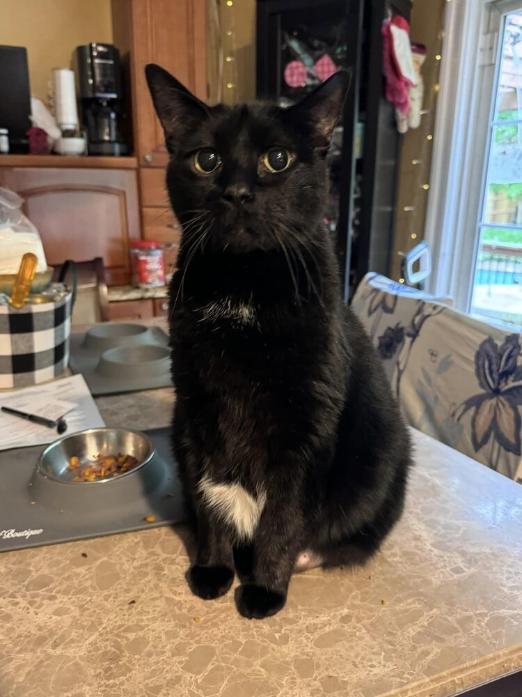Vinnie