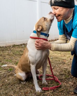 Looking for your next fur baby Meet Bibi Shes cute and small but thats not all She has the best
