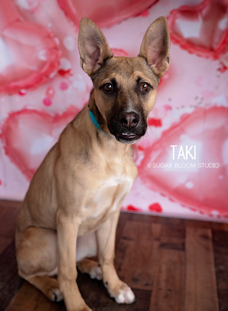 Taki