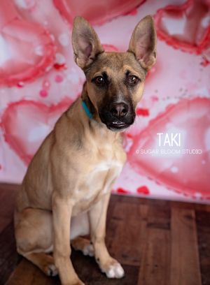 Taki, Baby Male unknown