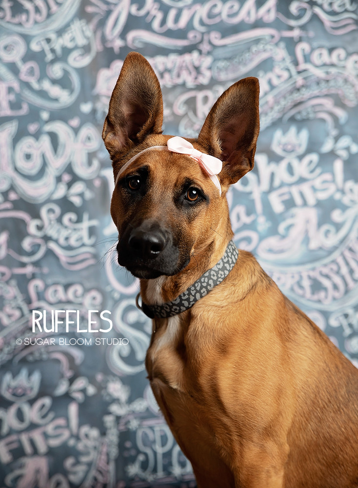 Ruffles