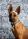 Ruffles photo 1
