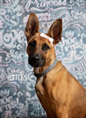 Ruffles, Baby Female unknown