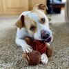 Max photo 1